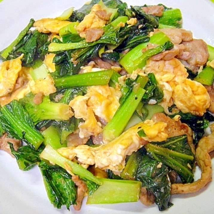 小松菜と豚肉たまごのオイスター炒め レシピ 作り方 By Mint74 楽天レシピ 小松菜と豚肉たまごのオイスター炒め レシピ 作り方 By Mint74 楽天レシピ